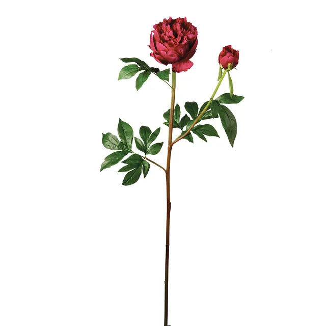 sia-deco-tige-pivoine-artificielle-fuchsia-85-cm image 1