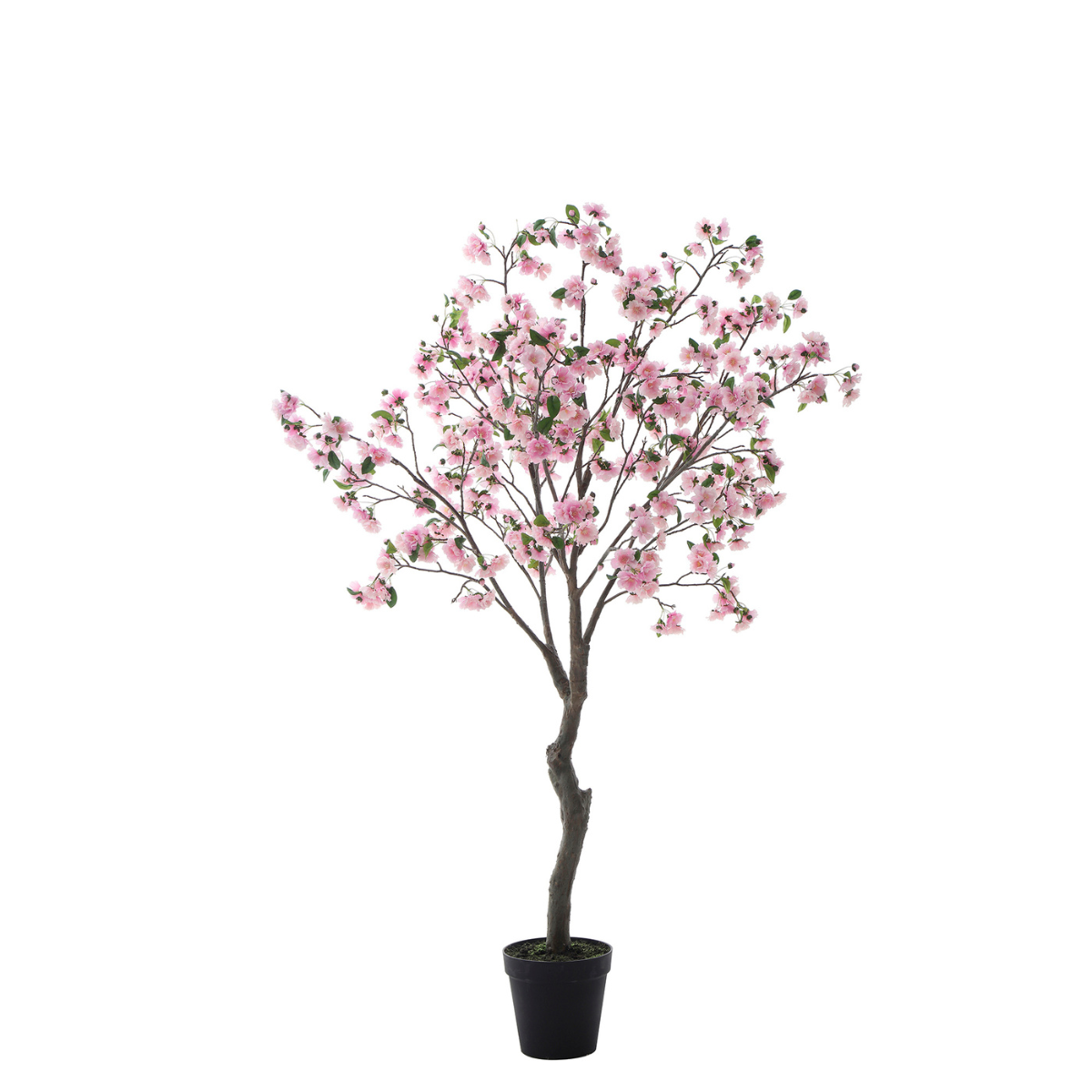 sia-deco-noah-cerisier-en-fleurs-pot-rose-210-cm image 1