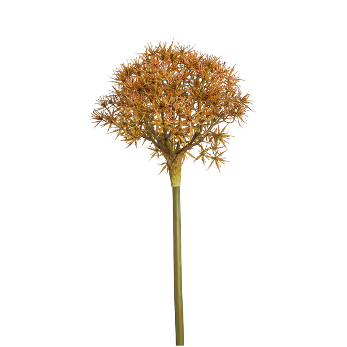 sia-deco-noah-tige-allium-fleur-artificielle-orange-89-cm image 1