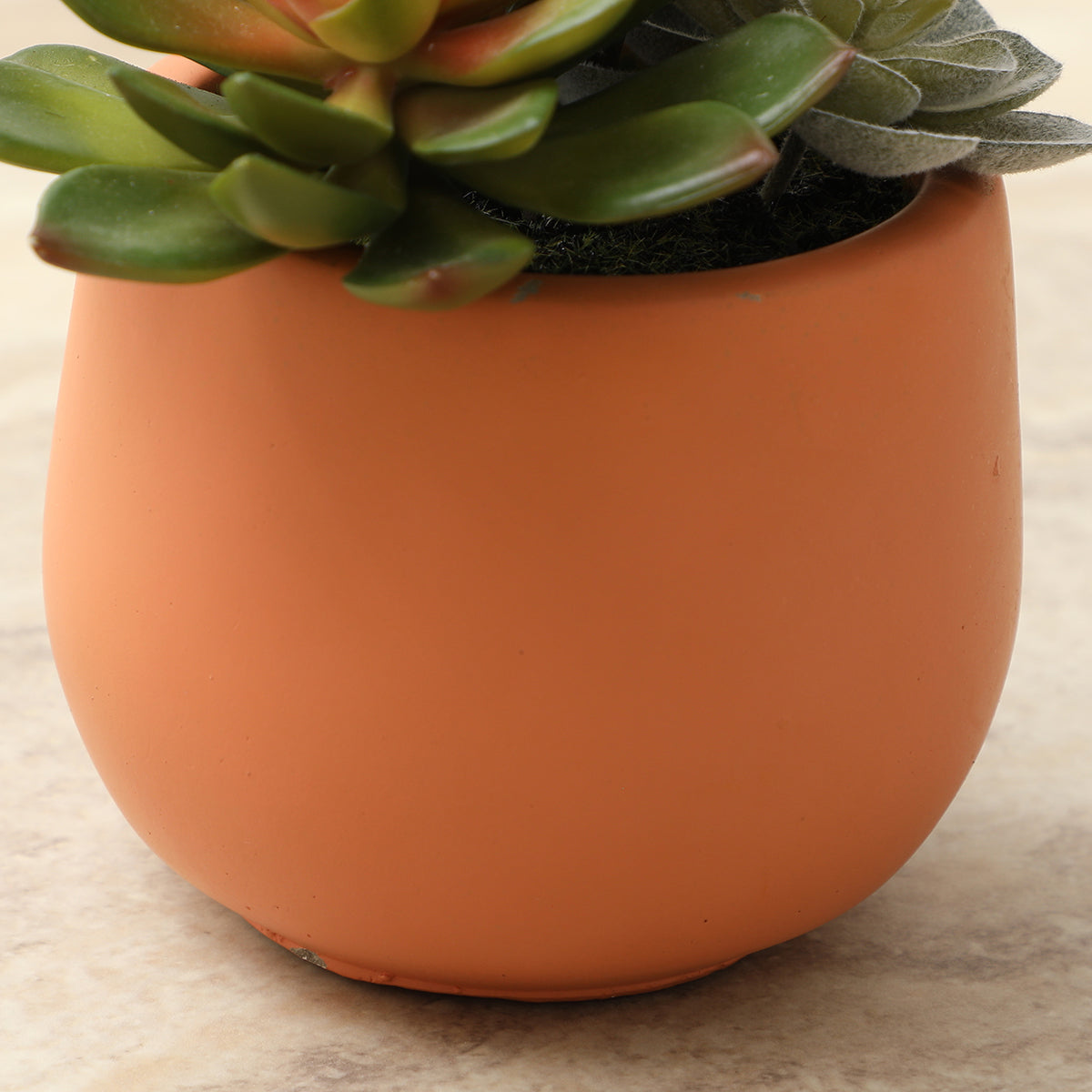 sia-noah-succulente-artificielle-en-pot-vert-7-cm image 6