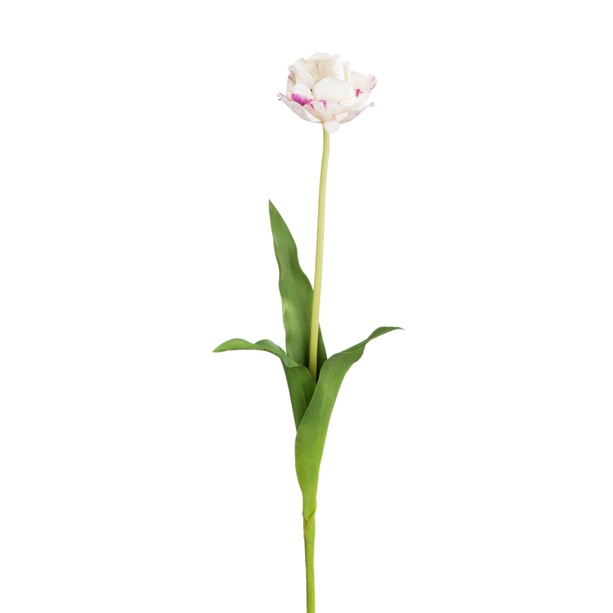 sia-deco-noah-tulipe-double-tige-artificielle-blanc-rose-70-cm image 1