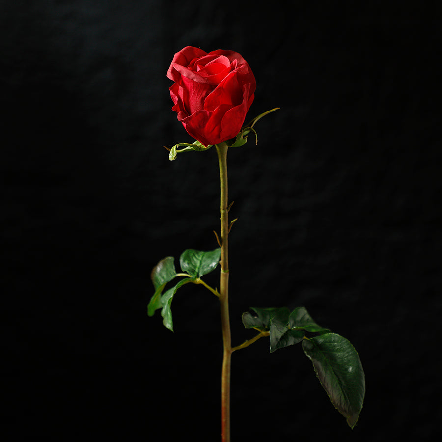 sia-noah-tige-rose-ferm-e-50-cm-rouge-premium image 3