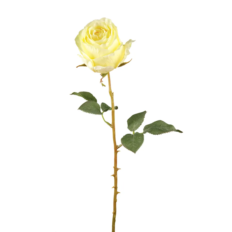 sia-noah-rose-kate-tige-fleur-artificielle-jaune-49-cm image 1
