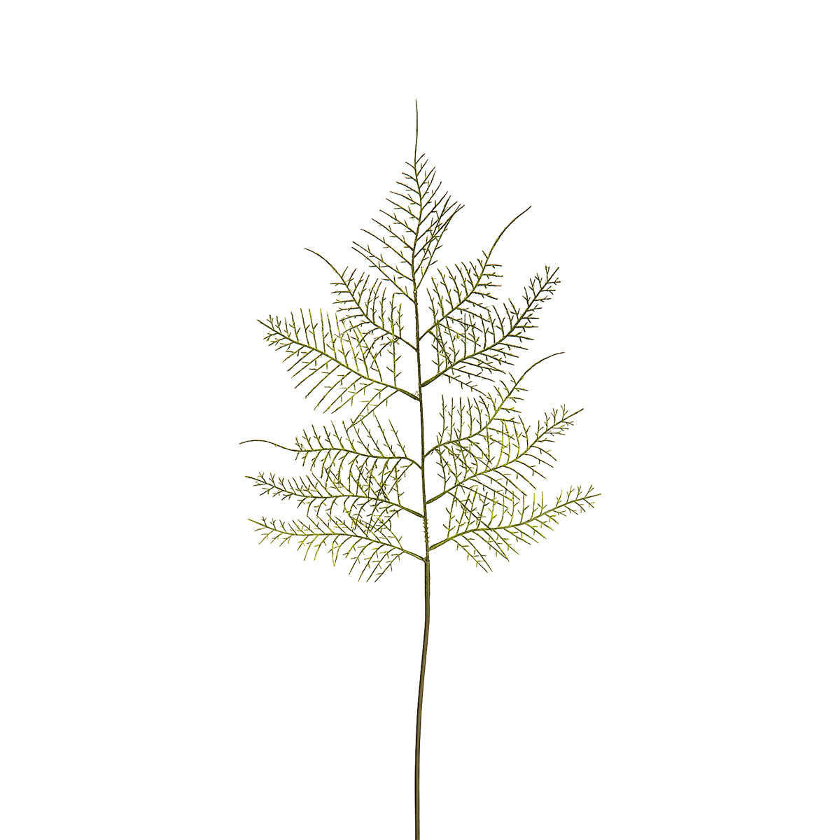 sia-deco-noah-asparagus-feuillage-artificiel-vert-62-cm-tige-fine image 1