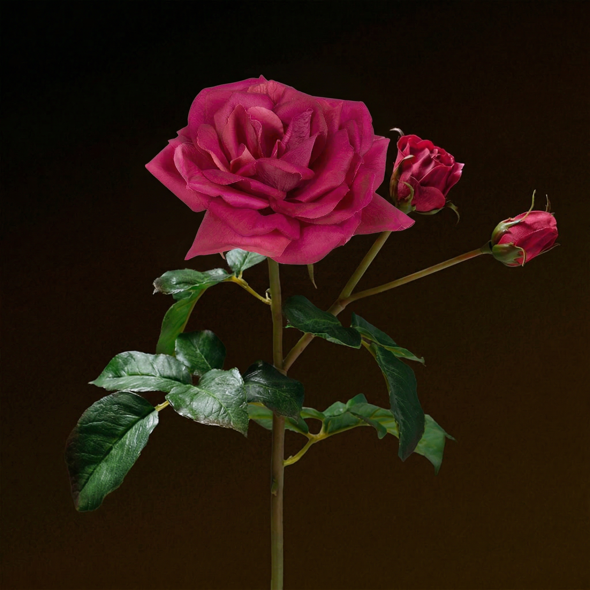 sia-noah-tige-rose-premium-framboise-50-cm image 2