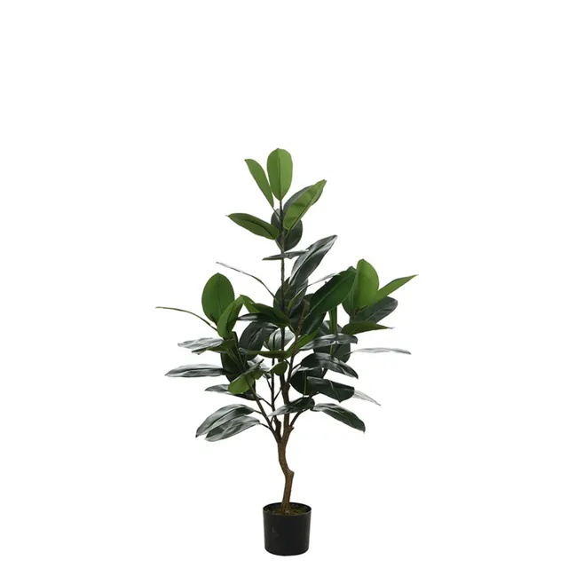 sia-noah-ficus-en-pot-vert-130-cm-elastica image 1