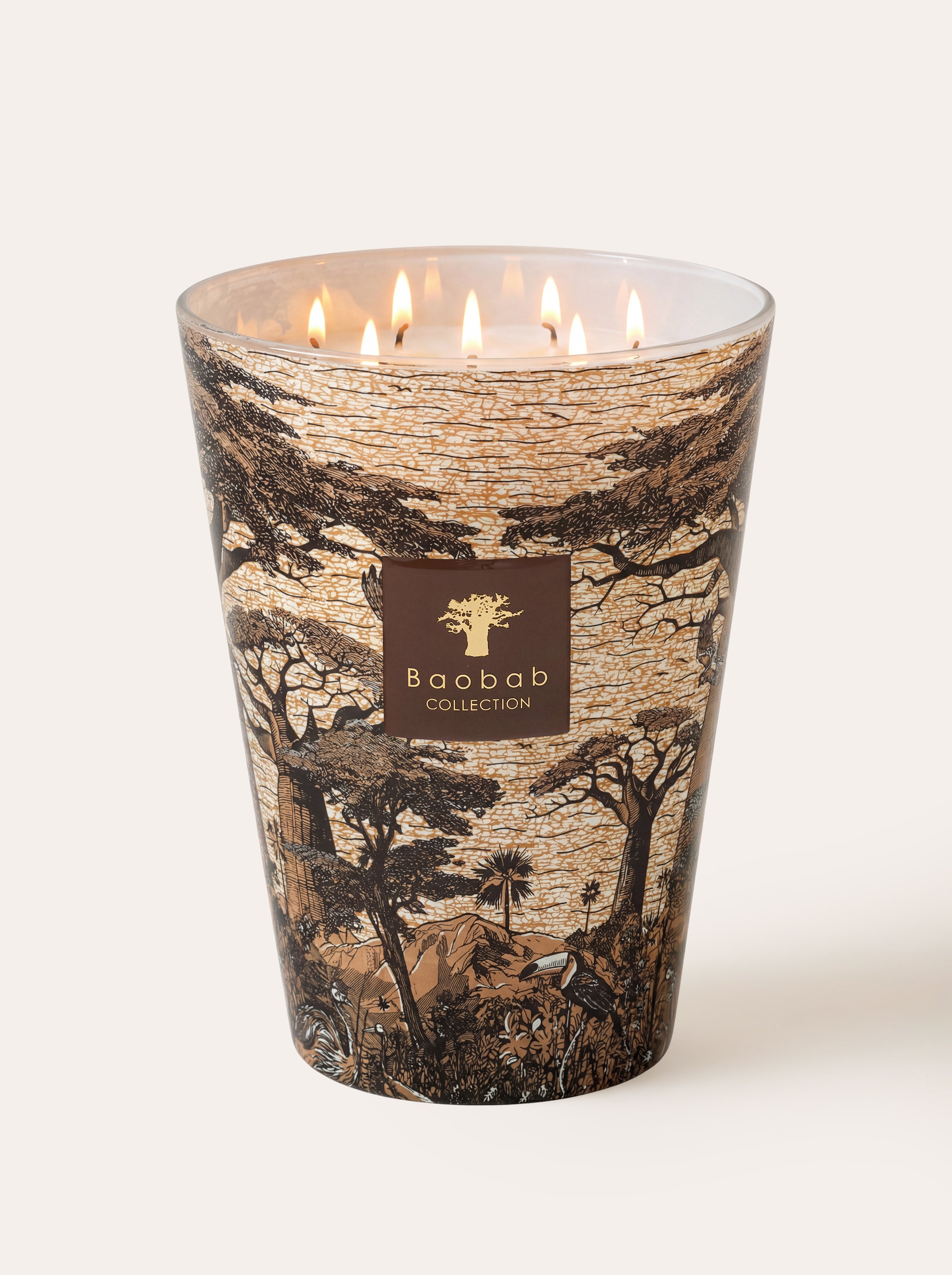 baobab-collection-sacred-trees-mankono-bougie-classique-pic-e image 8