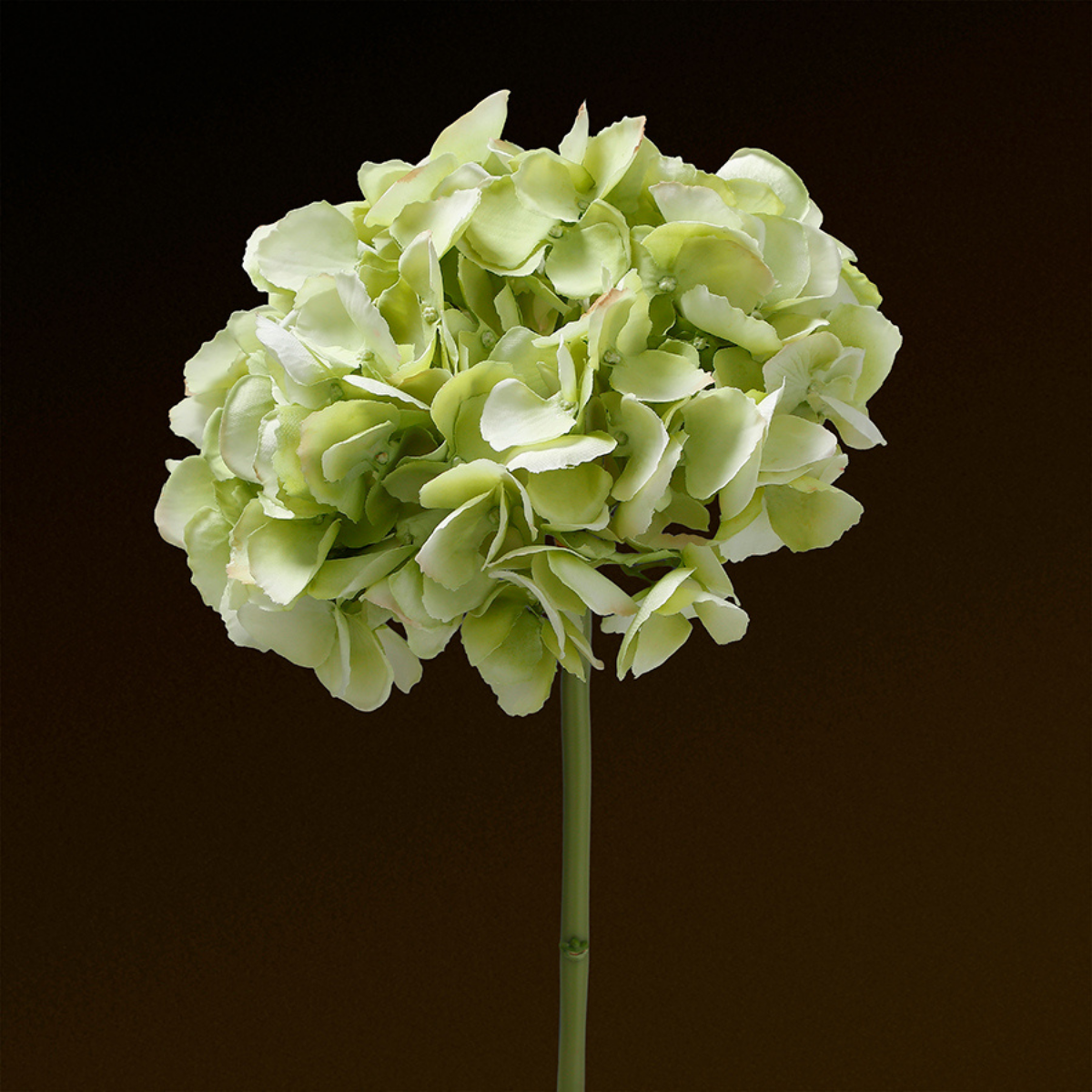 sia-noah-tige-hortensia-premium-bleu-48-cm image 8