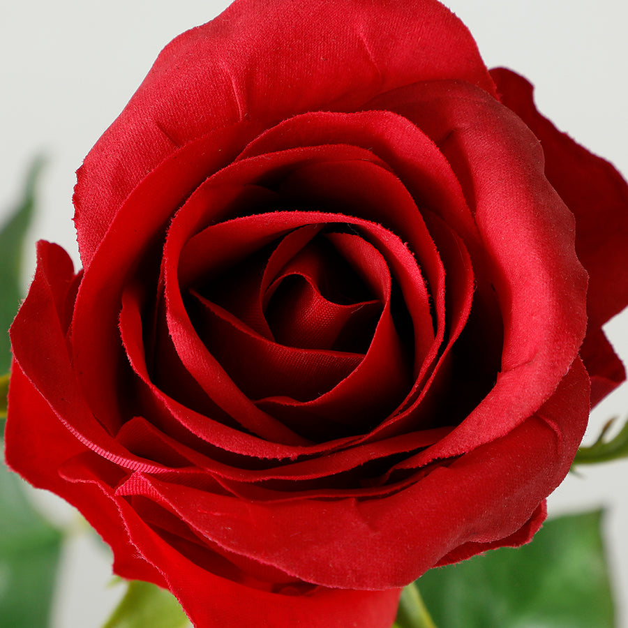 sia-noah-tige-rose-ferm-e-50-cm-rouge-premium image 4