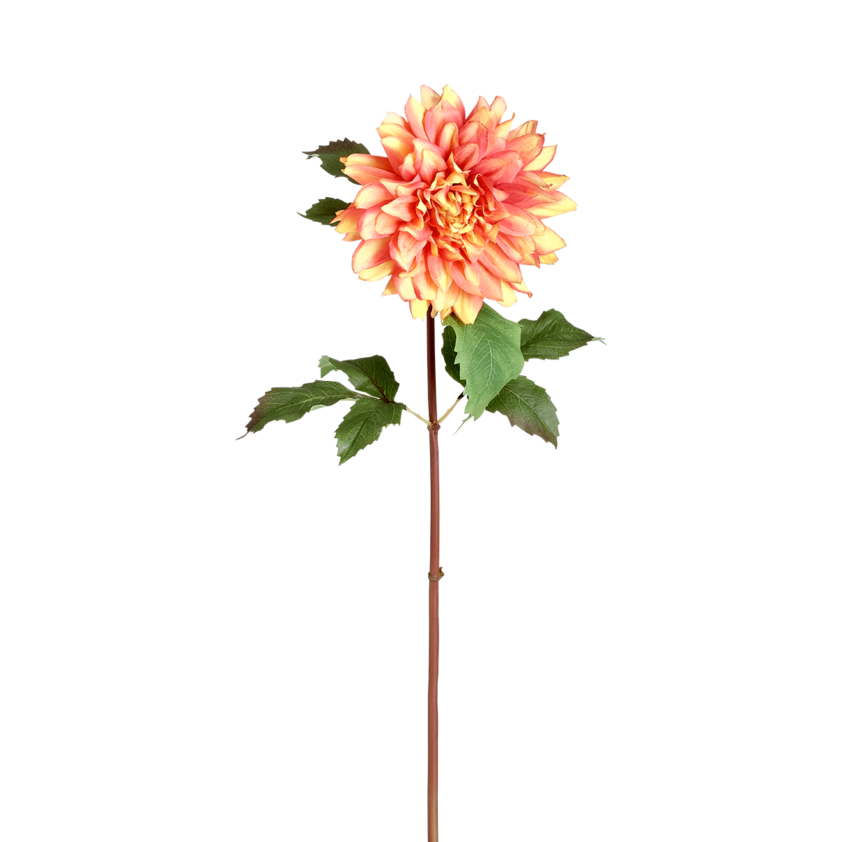 sia-deco-noah-tige-dahlia-premium-70-cm-orange-corail image 5