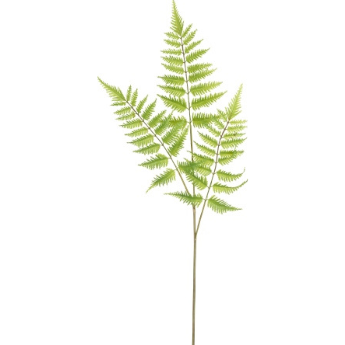 sia-deco-noah-foug-re-tige-feuillage-artificiel-90-cm-vert image 1
