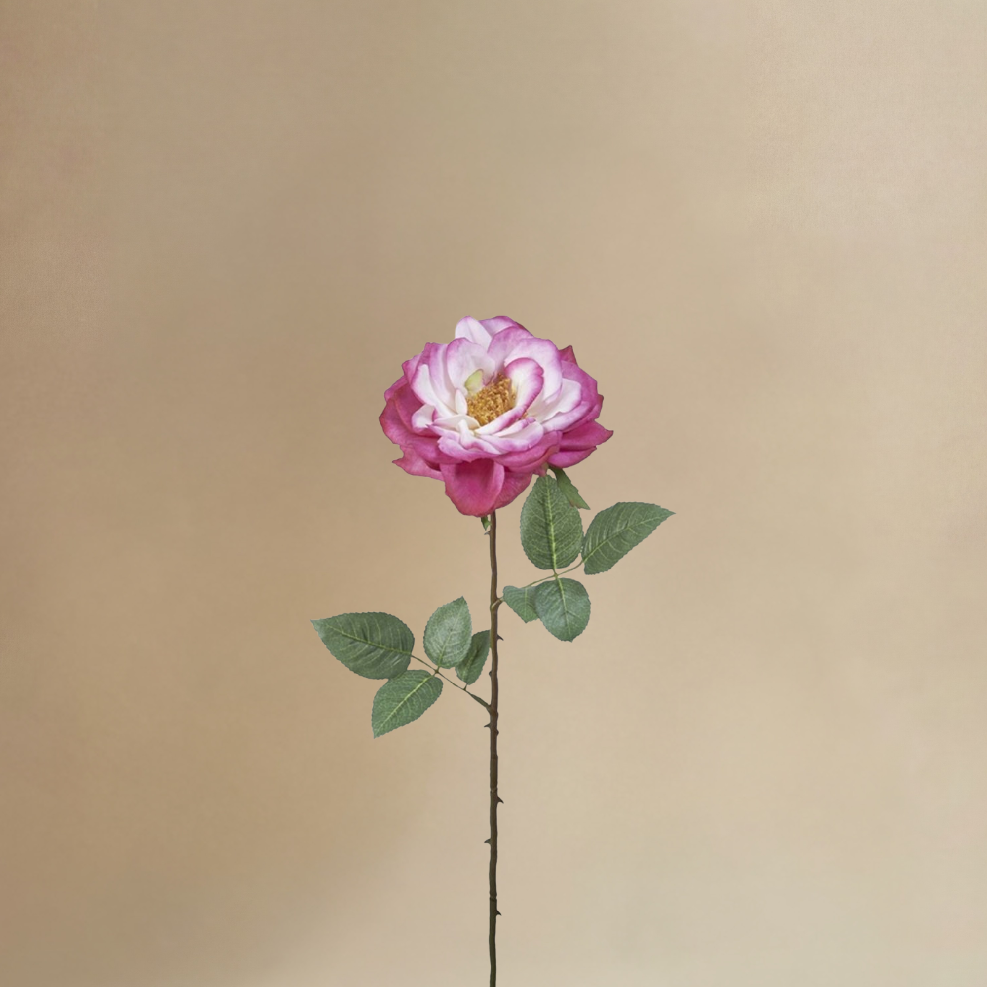 sia-noah-sophie-bouquet-artificiel-12-tiges-rose-cr-me-64-cm image 4