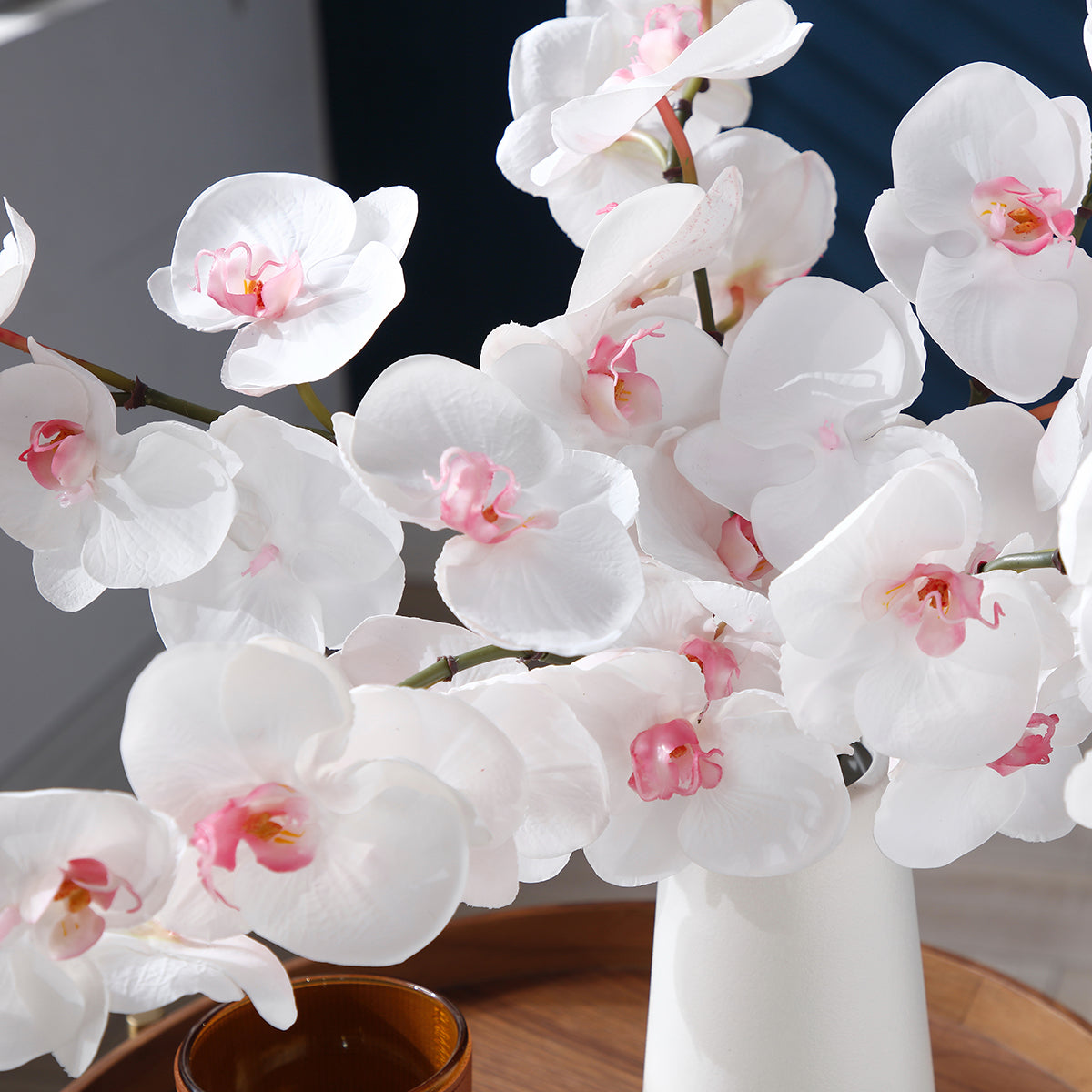 sia-noah-orchid-e-phalaenopsis-tige-50-cm-blanc image 3