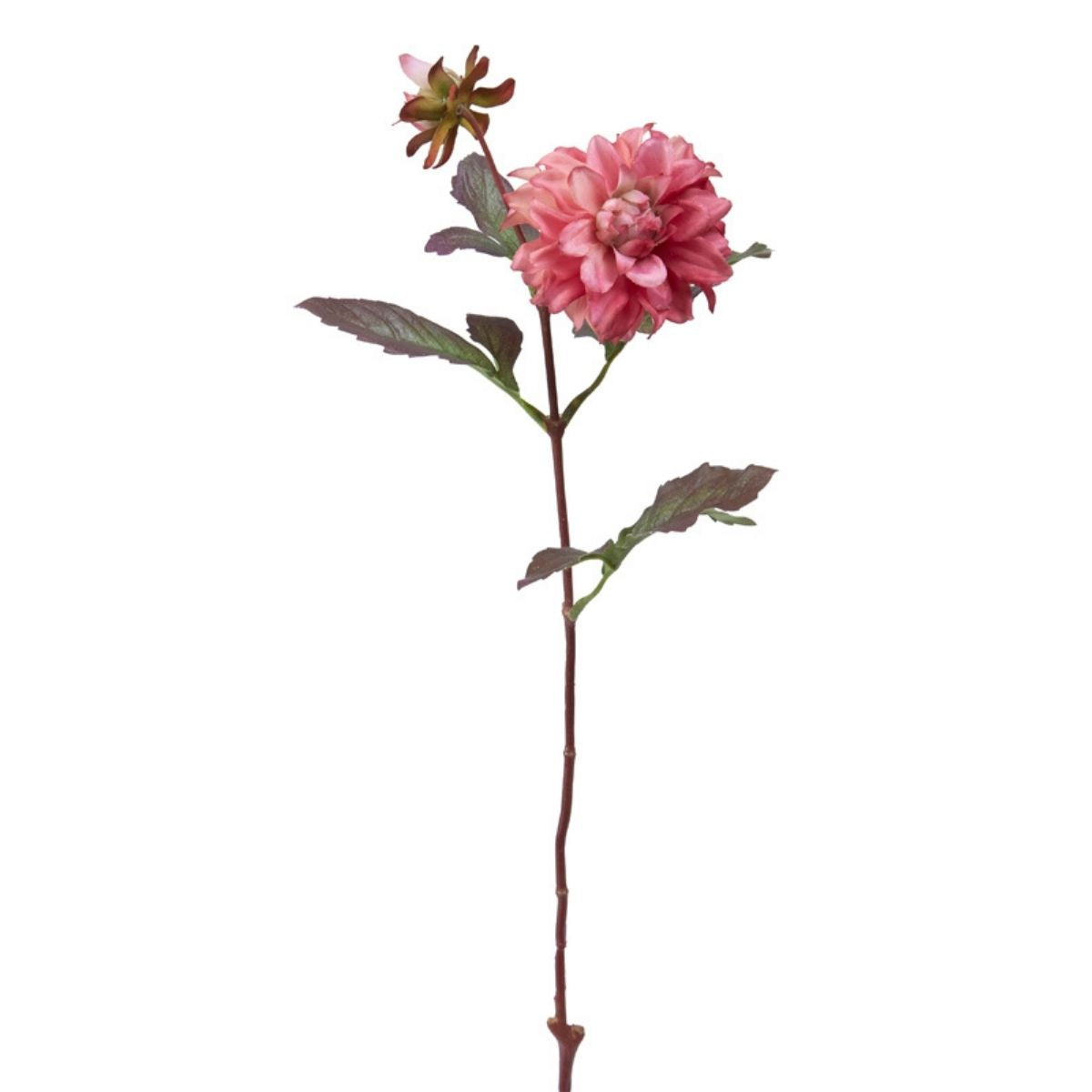 sia-deco-noah-tige-dahlia-waterlily-fleur-artificielle-cr-me-64-cm image 5