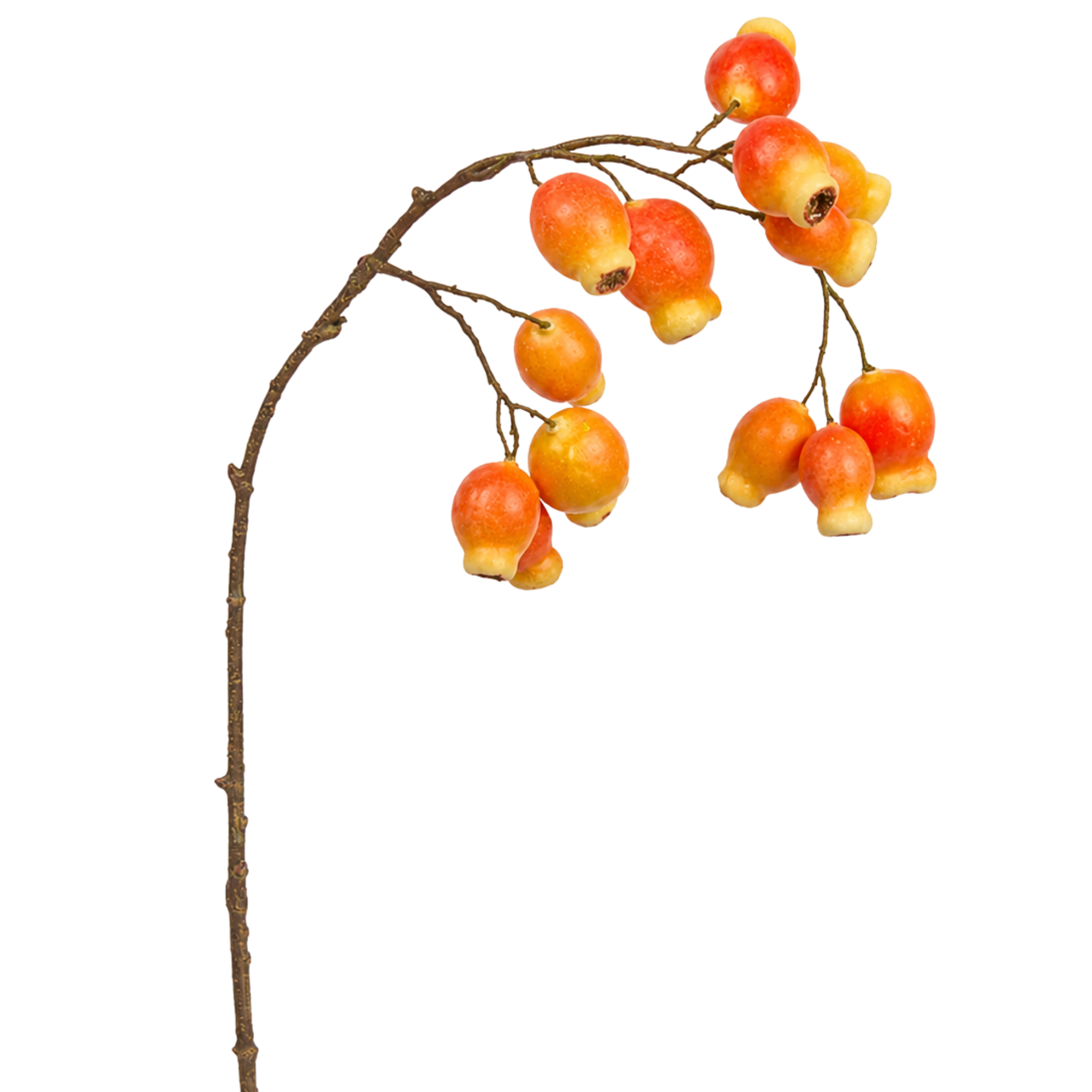 sia-noah-glantier-branche-artificielle-orange-64-cm image 1