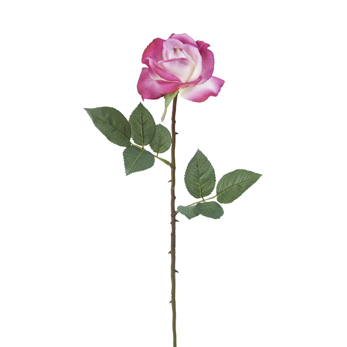 sia-deco-noah-tige-rose-sophia-65-cm-rose image 1