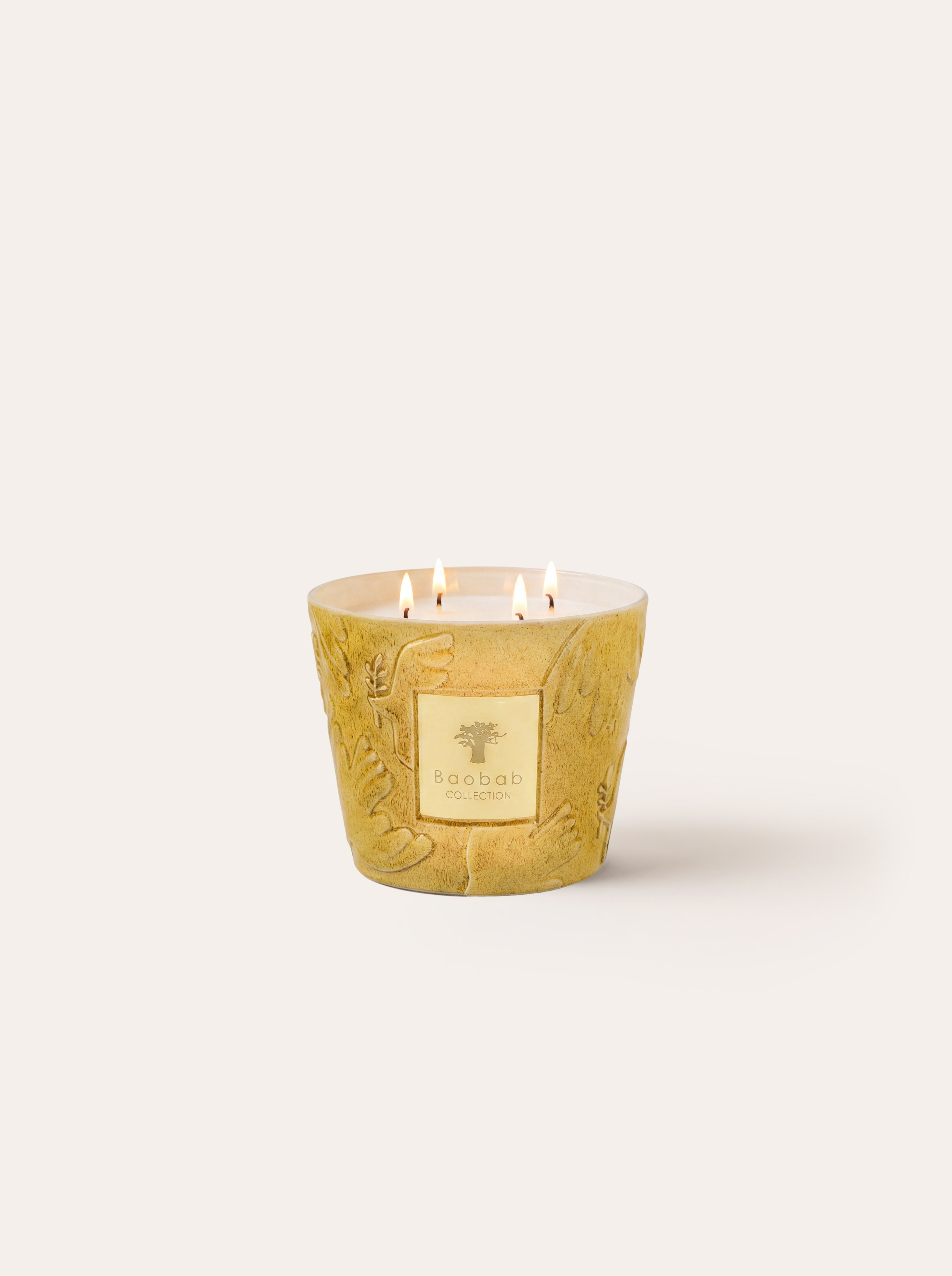 baobab-collection-paz-dove-bougie-parfum-e-classique-jaune image 8