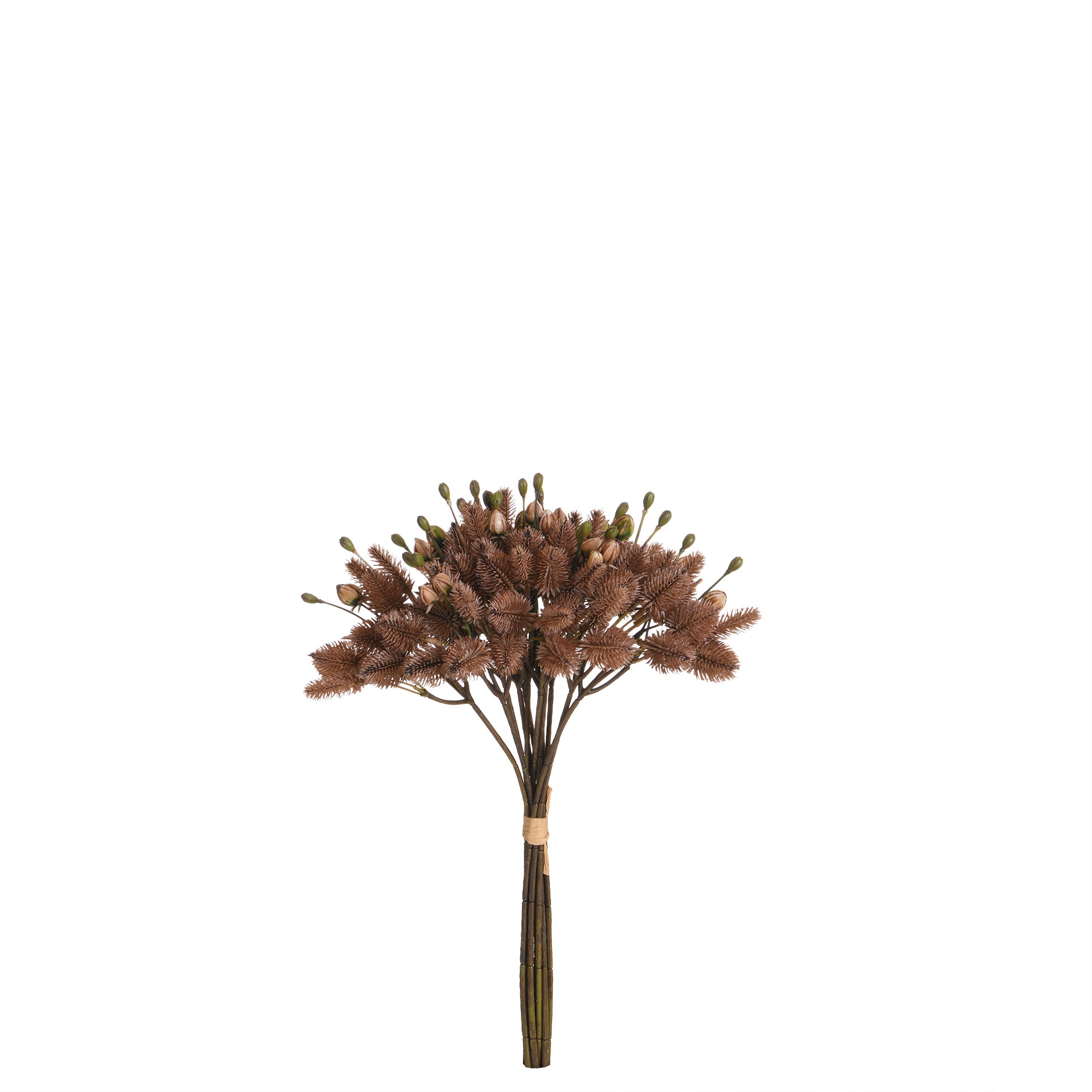 sia-noah-bouquet-chardon-artificiel-40-cm-marron image 1