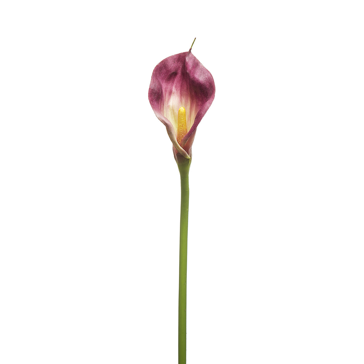 sia-deco-noah-tige-d-arum-artificiel-orange-78-cm image 4