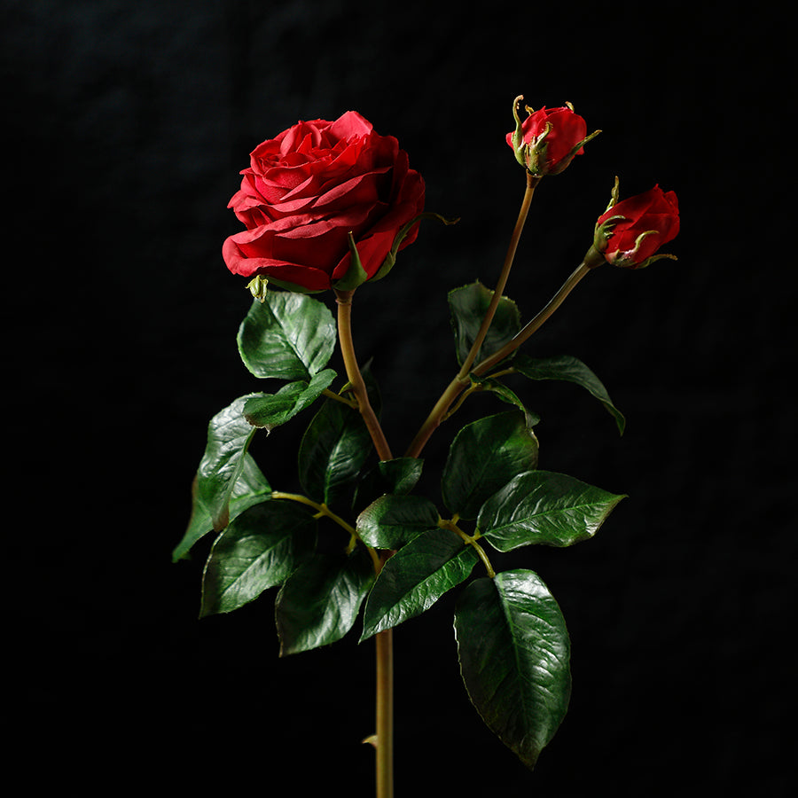 sia-deco-noah-tige-rose-artificielle-55-cm-rouge-premium image 2