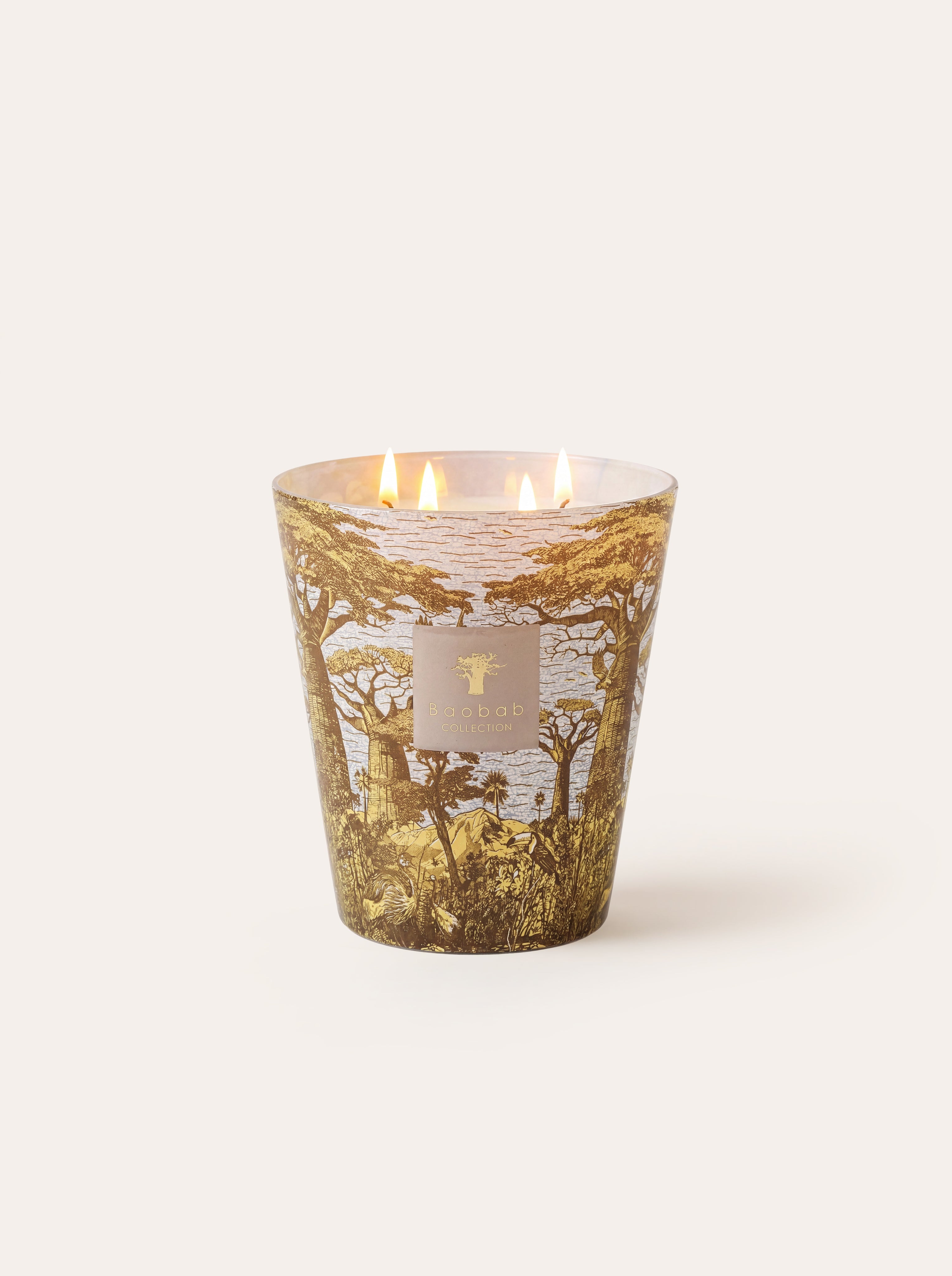 baobab-collection-sacred-trees-bounkani-bougie-parfum-e-classique image 8