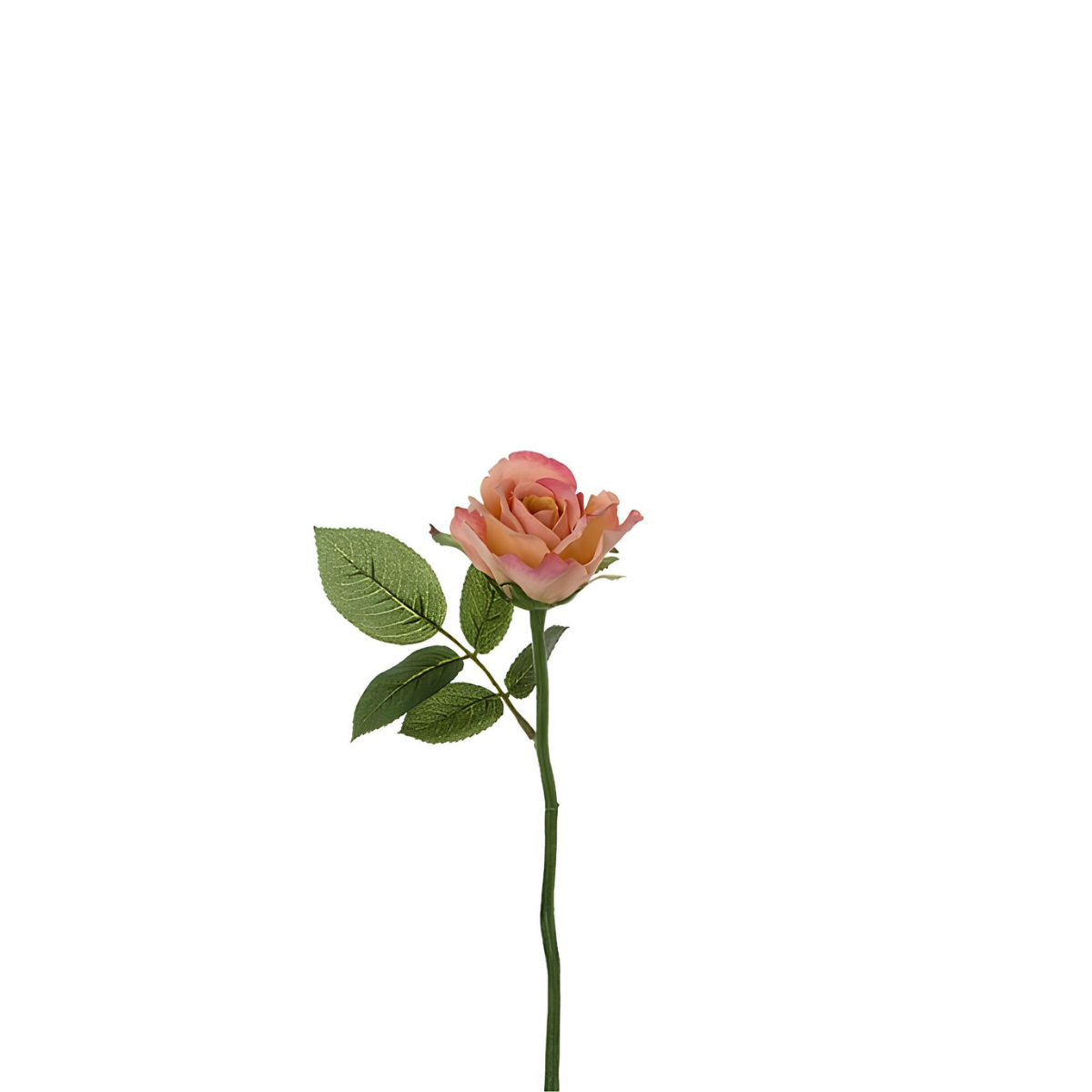 sia-noah-tige-rose-maria-ferm-e-32-cm-rose image 8