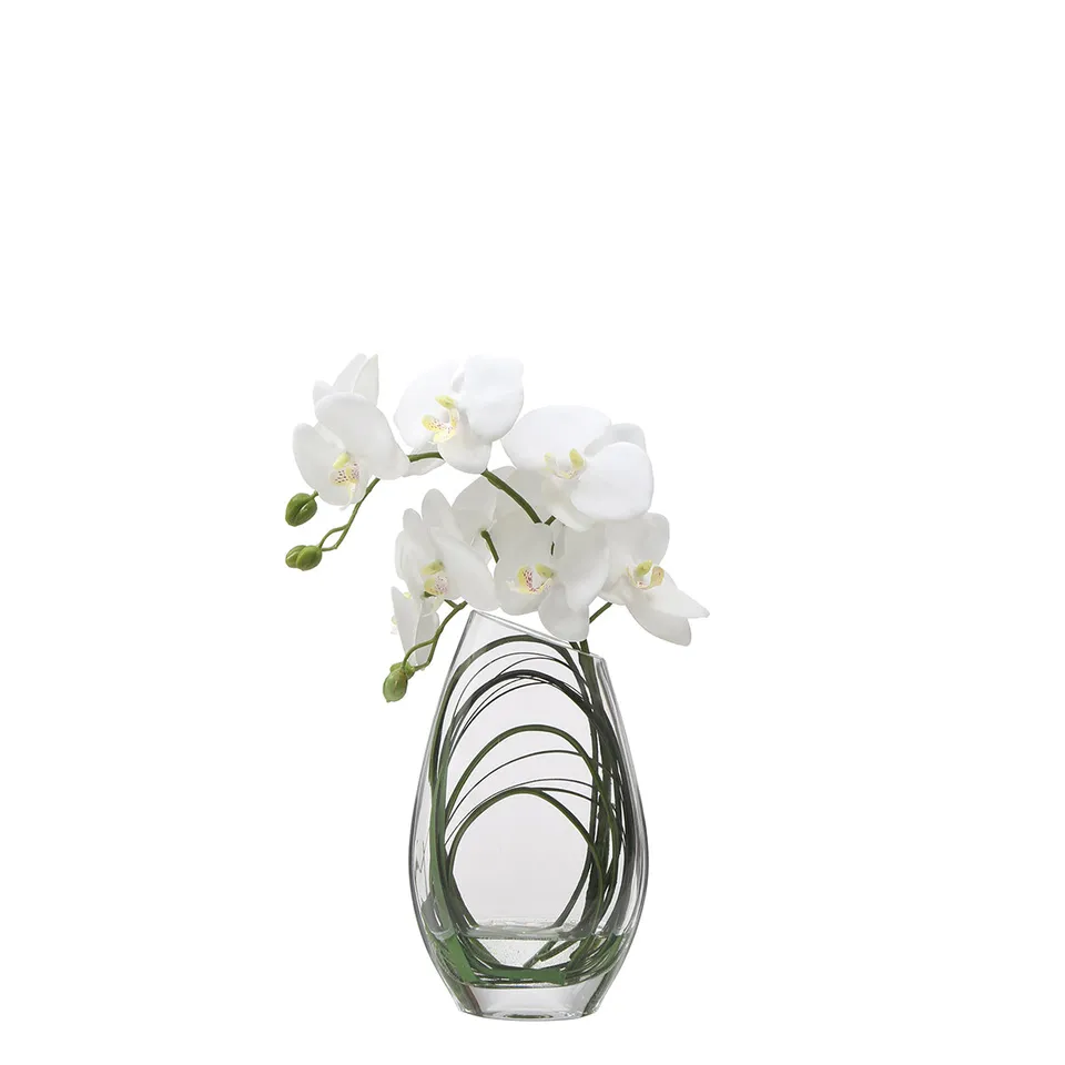 sia-deco-noah-composition-orchid-e-29-cm-plante-blanc image 1