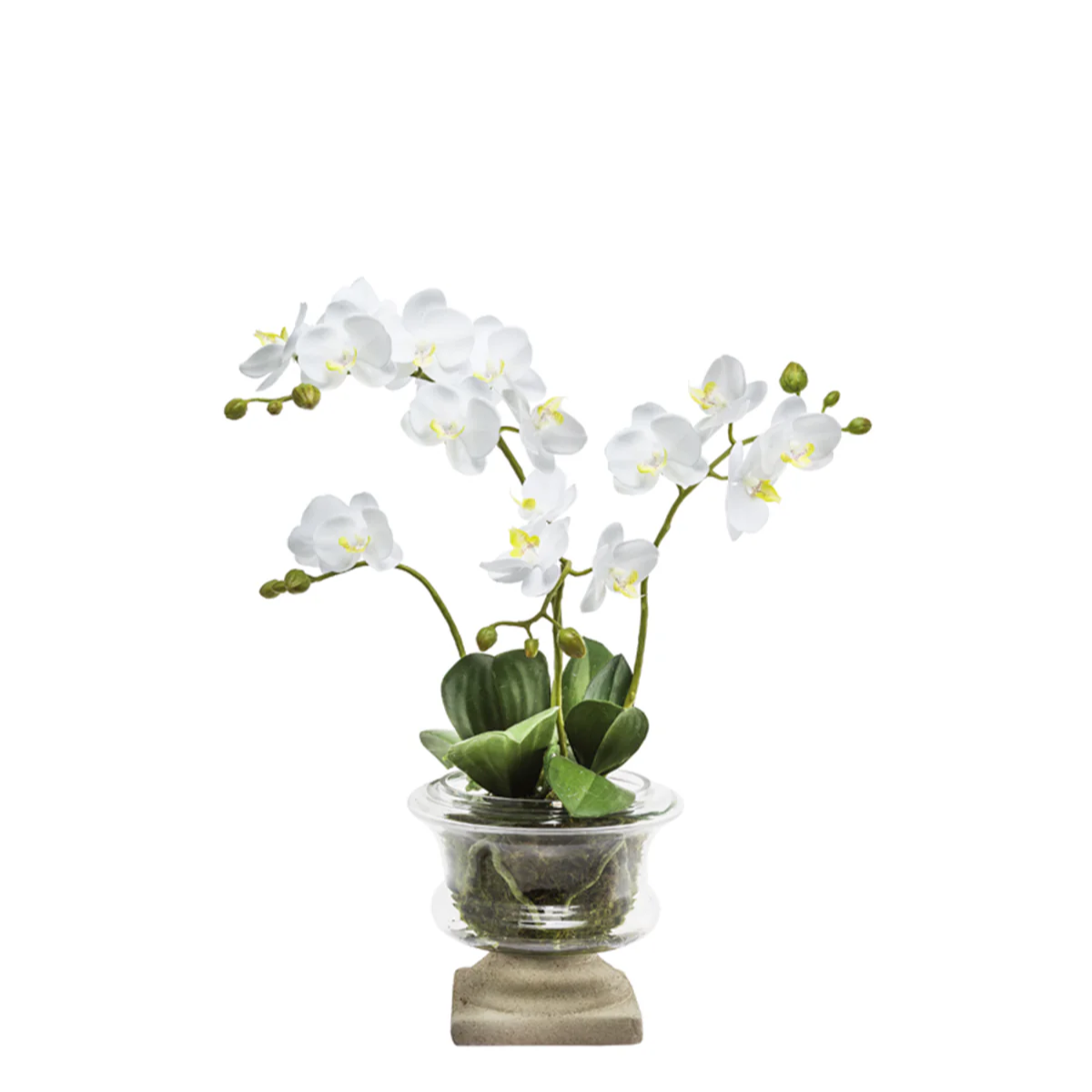 sia-deco-noah-orchid-e-artificielle-blanc-58-cm-pot-verre image 1