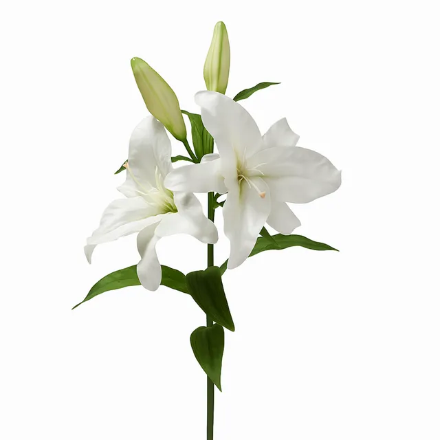 sia-deco-noah-lys-casablanca-premium-95-cm-fleur-blanc image 1