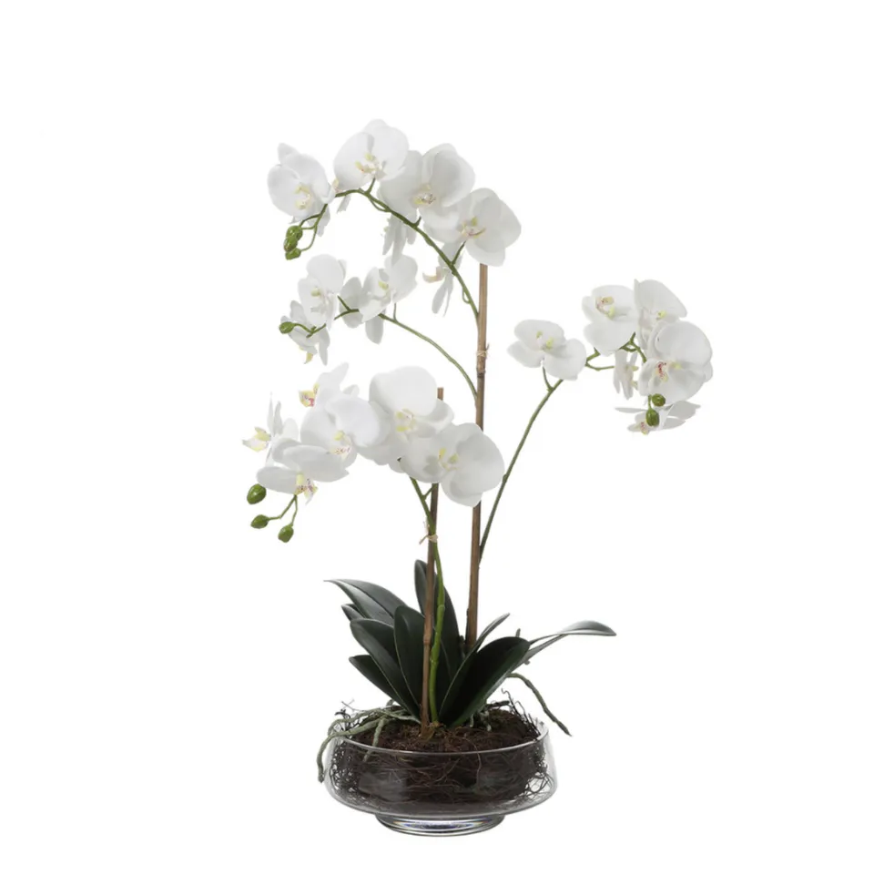 sia-deco-noah-lena-orchid-e-56-cm-plante-blanc-2-branches image 1