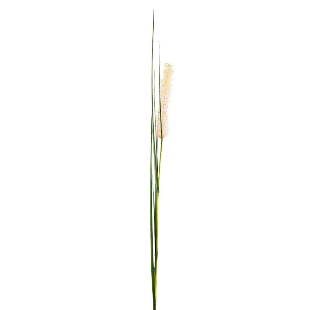 sia-noah-tige-de-gramin-e-artificielle-beige-142-cm image 2