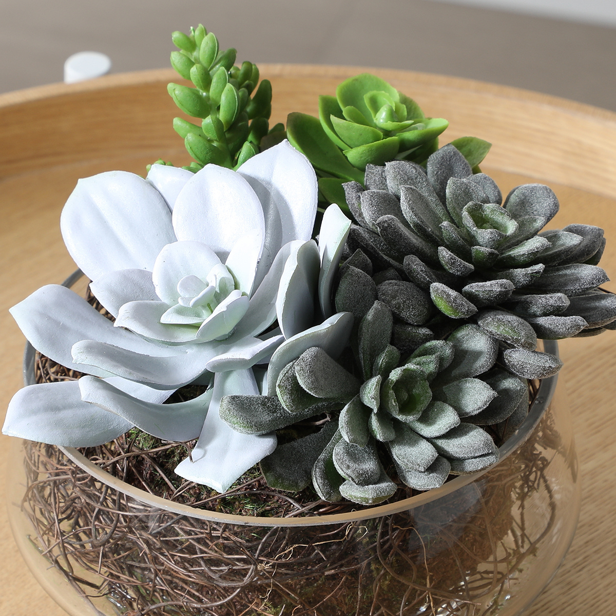 sia-noah-composition-succulentes-vase-verre-vert image 4
