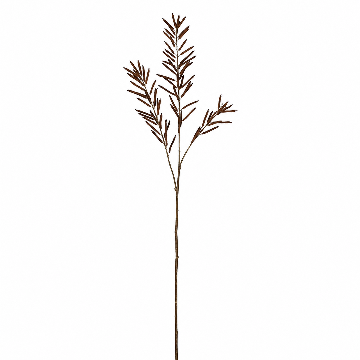 sia-deco-noah-tige-haricots-artificielle-marron-jaune-114cm image 1