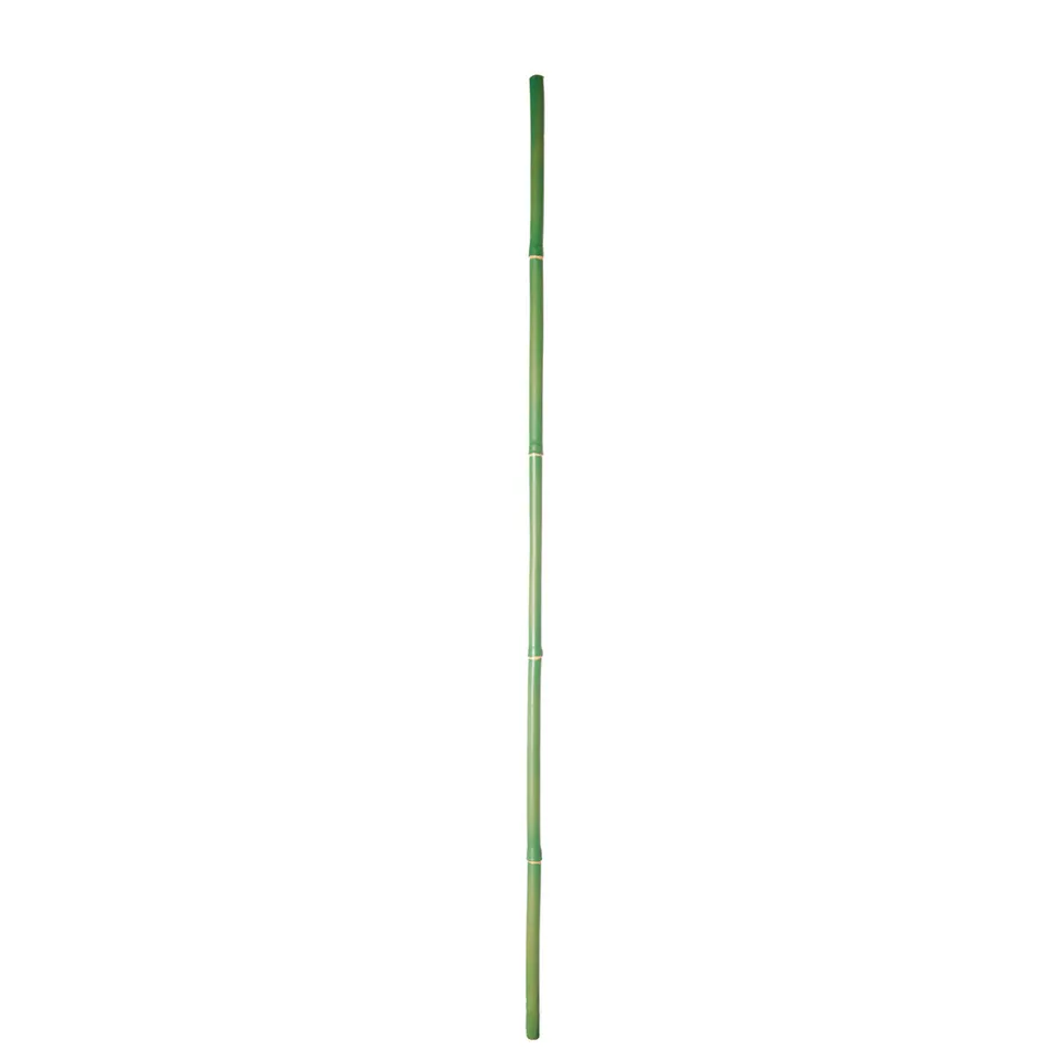 sia-noah-bambou-artificiel-101-cm-vert image 1