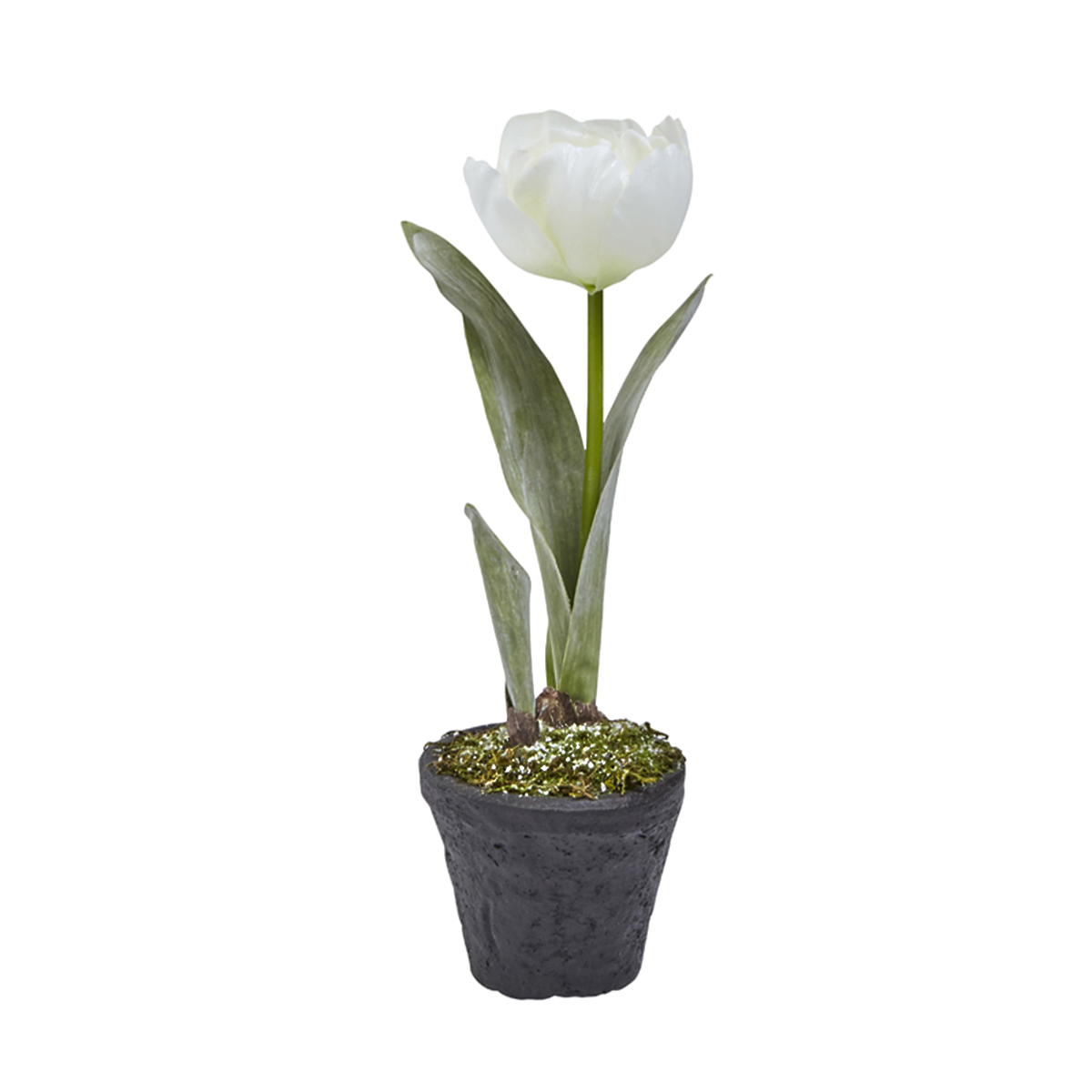 sia-deco-noah-tulipe-givr-e-plante-artificielle-blanc-pot-27-cm image 1