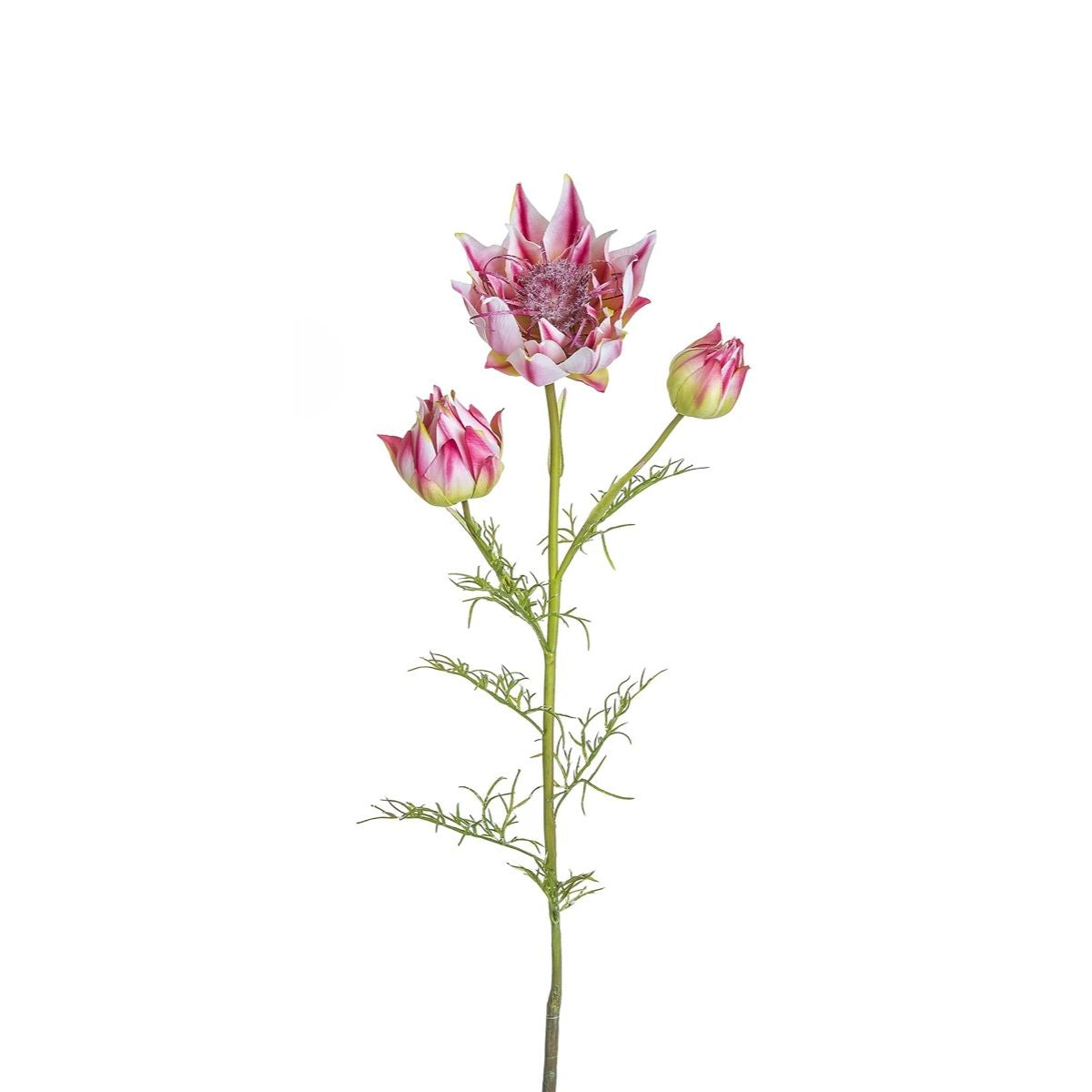 sia-deco-noah-tige-de-serruria-fleur-artificielle-rose-112-cm image 2