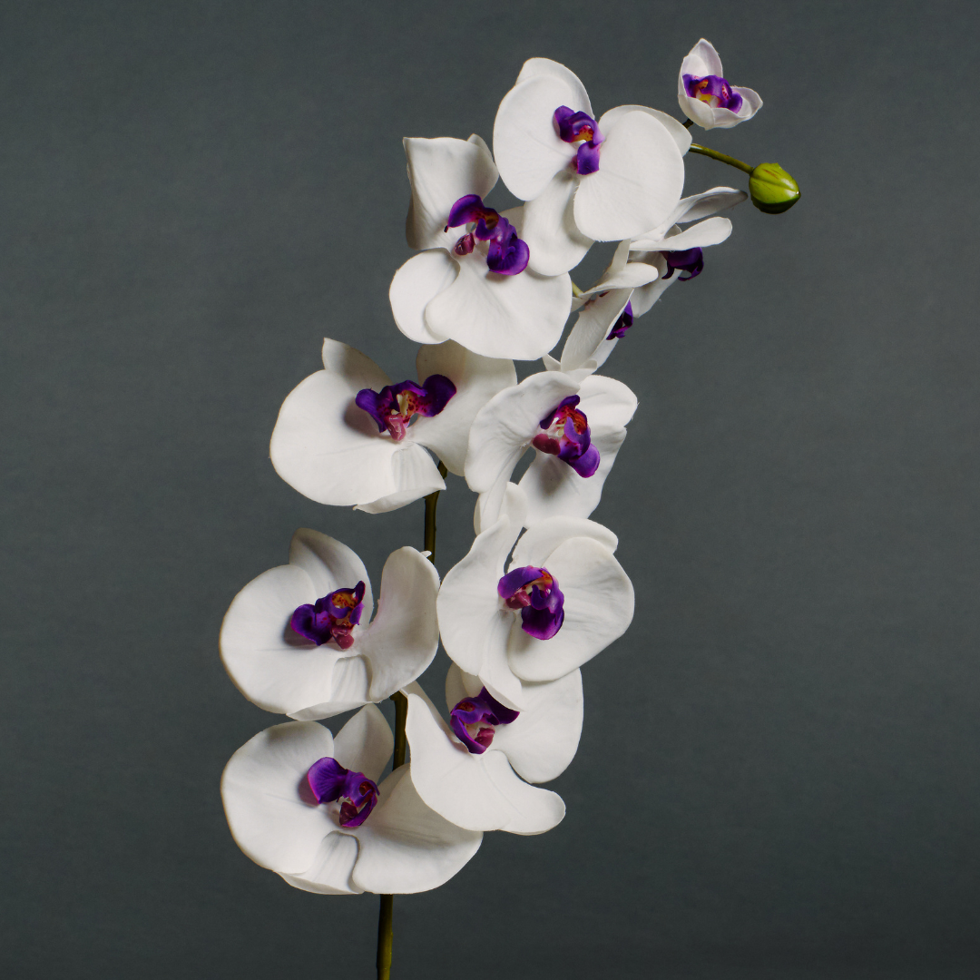 sia-deco-noah-phalaenopsis-tige-orchid-e-blanc-violet-100cm image 3