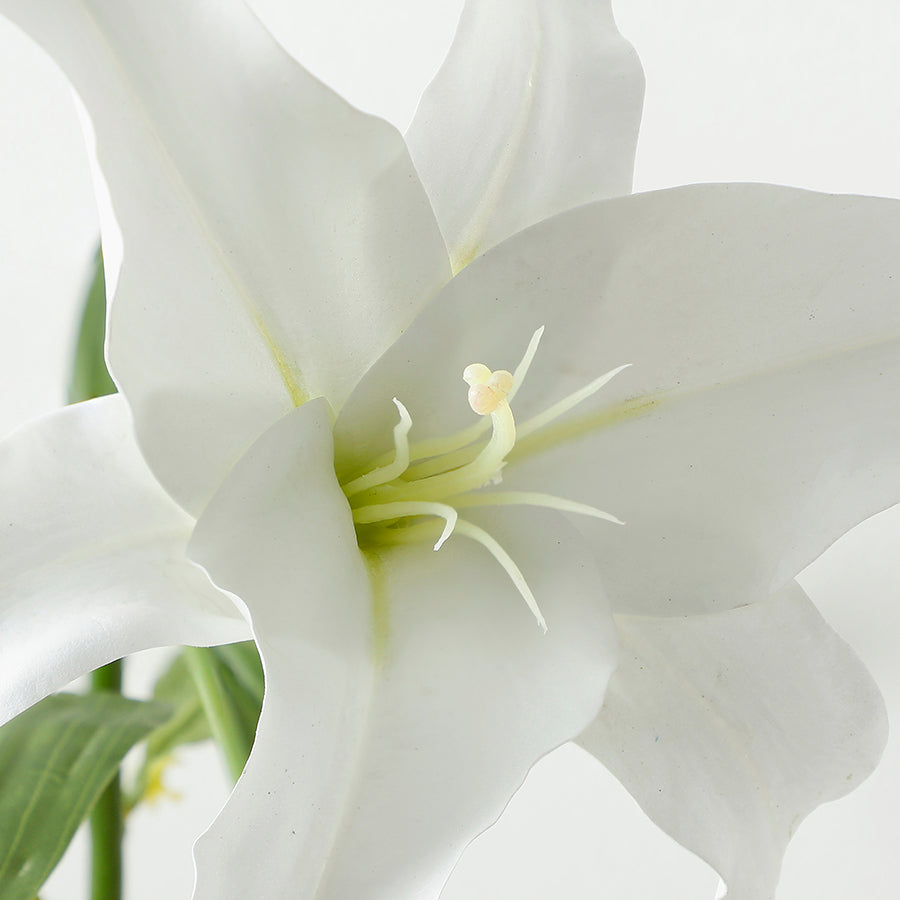 sia-noah-lys-casablanca-fleur-artificielle-65-cm-blanc image 5