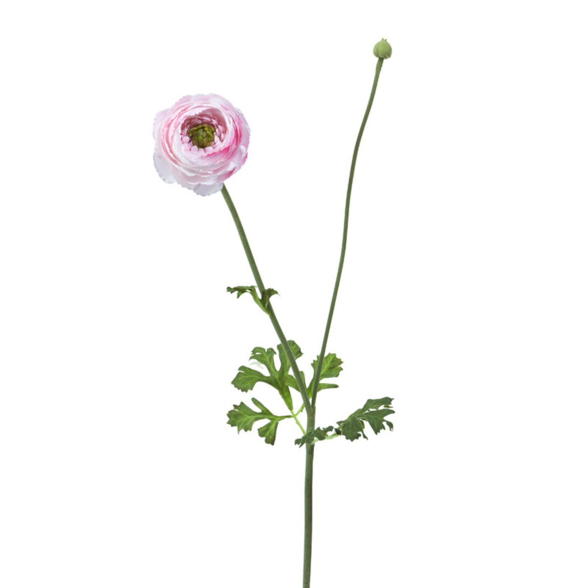 sia-deco-noah-tige-renoncule-fleur-artificielle-rose-56-cm image 1