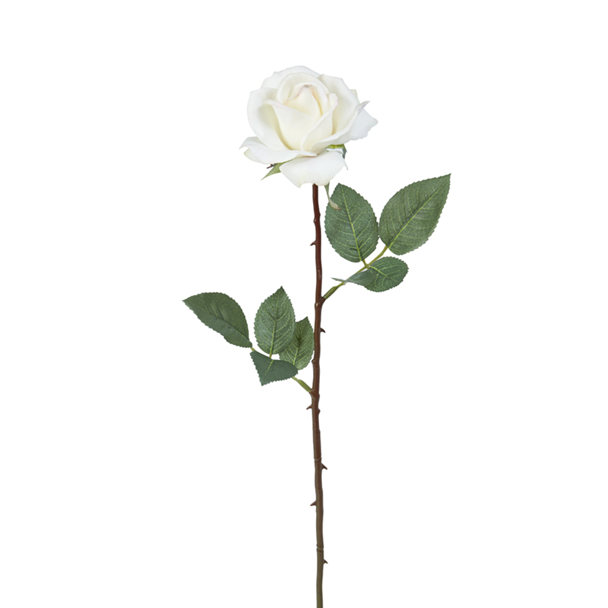 sia-deco-noah-tige-rose-sophia-65-cm-rose image 3