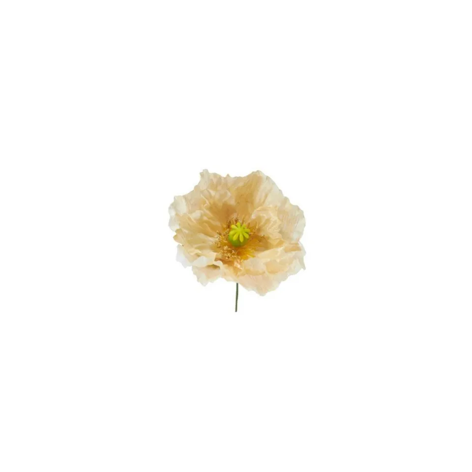 sia-noah-tige-coquelicot-artificielle-jaune-18-cm image 1