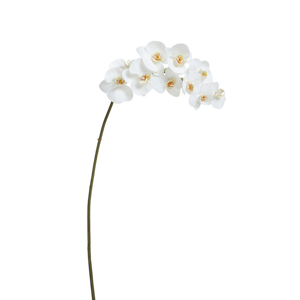 sia-deco-noah-tige-orchid-e-blanche-100cm-premium image 5