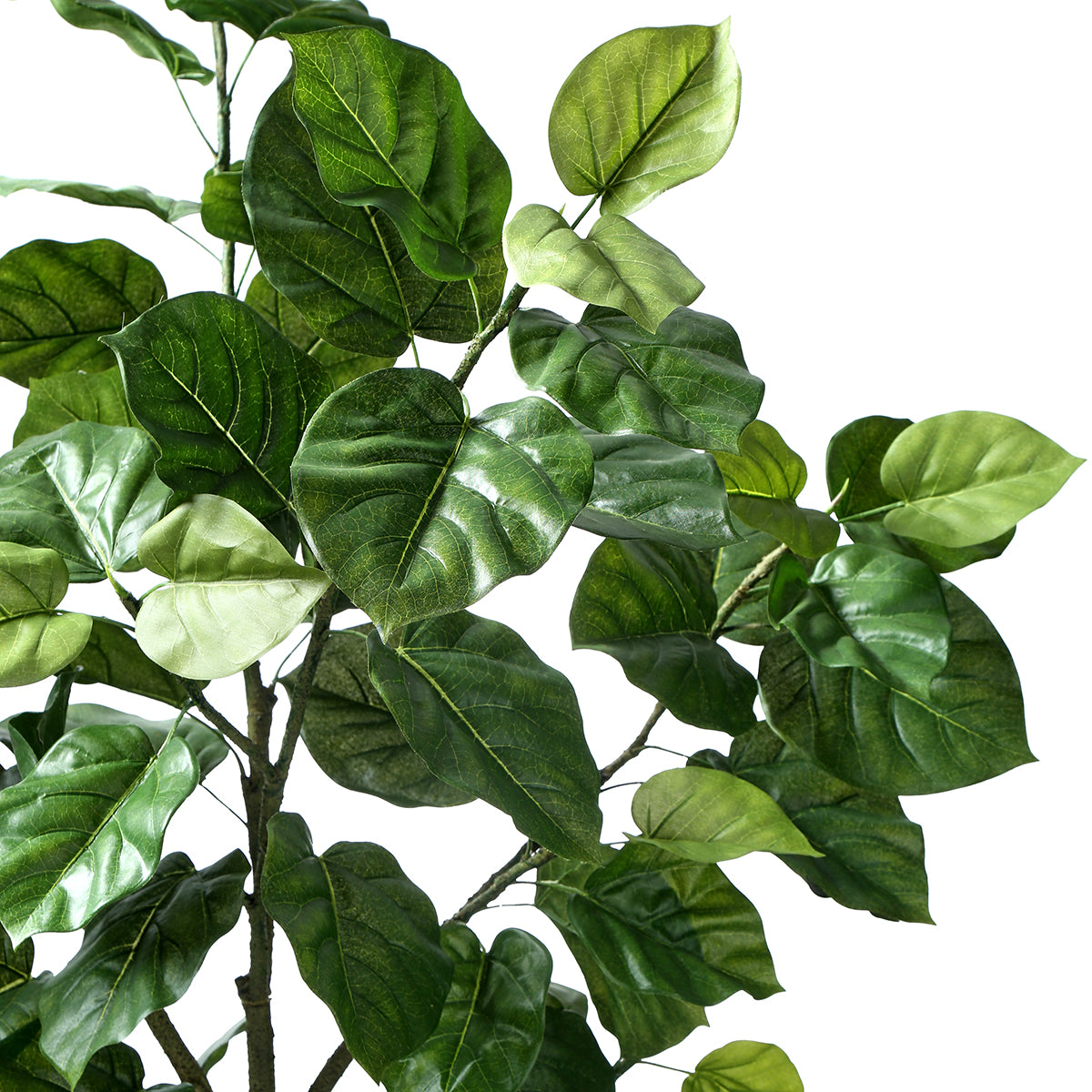 sia-noah-ficus-parapluie-artificiel-vert-210-cm-en-pot image 3