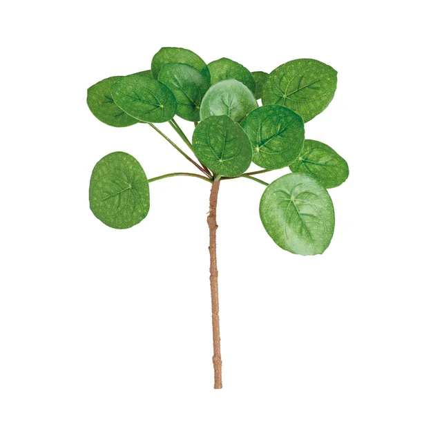 sia-noah-feuillage-pilea-artificiel-vert-33-cm-vase image 1