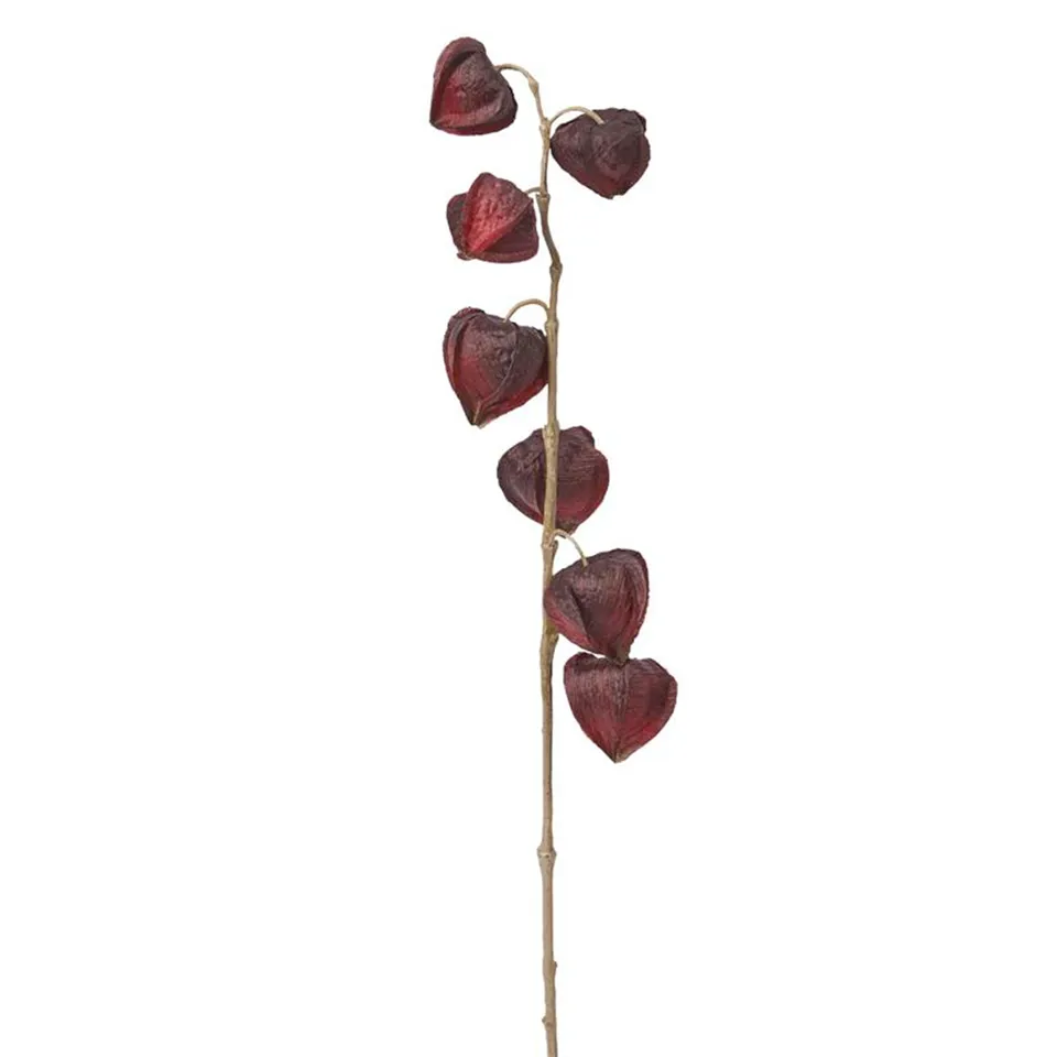 sia-deco-noah-tige-fleur-physalis-marly-90cm-bordeaux image 1