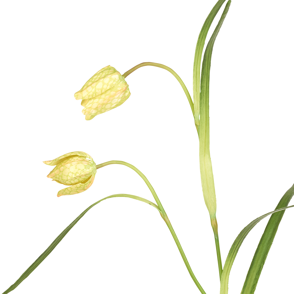 sia-deco-noah-tige-fritillaria-imp-riale-fleur-artificielle-rouge-70-cm image 4