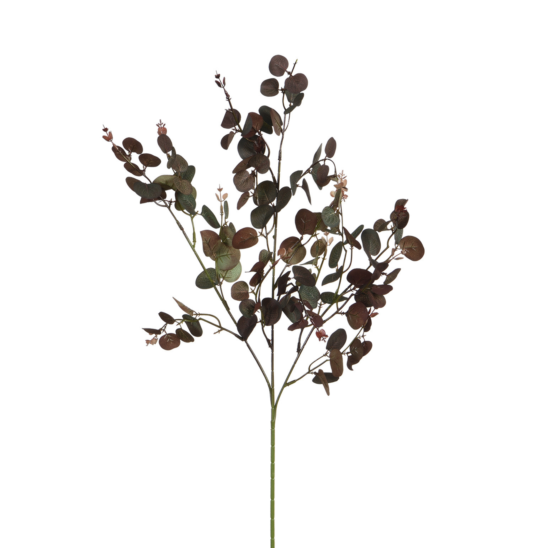 sia-deco-noah-feuillage-eucalyptus-80-cm-artificiel-vert image 1