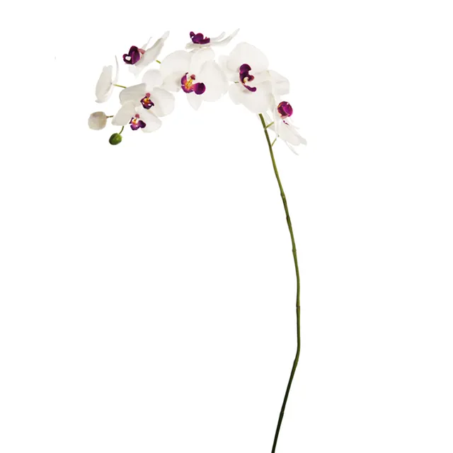 sia-deco-noah-phalaenopsis-tige-orchid-e-blanc-violet-100cm image 1