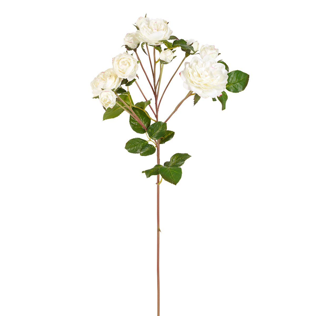 sia-deco-noah-tige-de-roses-artificielle-blanc-50-cm image 4