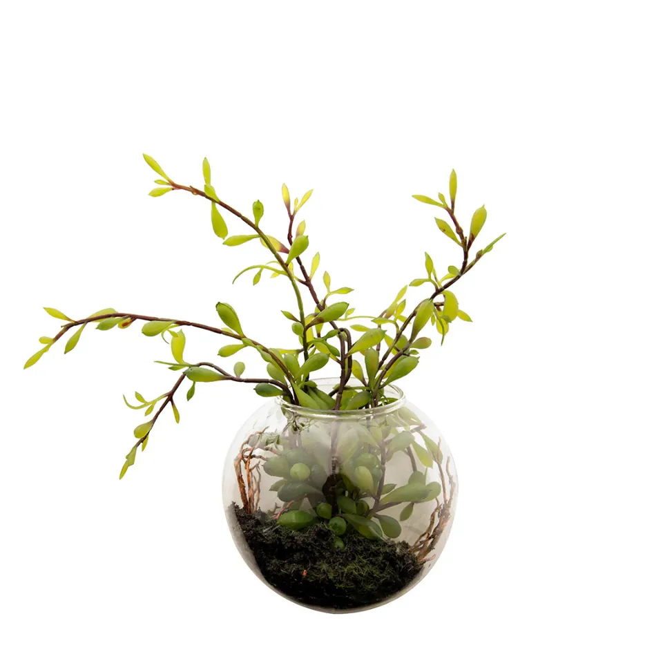 sia-noah-composition-sedum-succulente-artificielle-vert-10-cm image 1